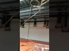 con una lunghezza di 8 mm o più ma non superiore a 8 mm